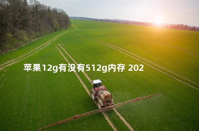 苹果12g有没有512g内存 2021最便宜的512g内存手机